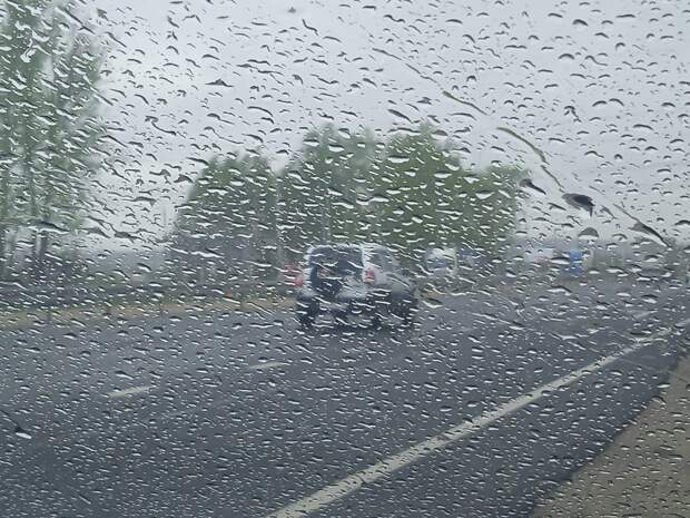 Дожди и сильный ветер: в Смоленске пройдут холодные выходные