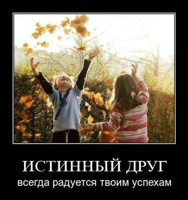 Пятничная подборка демотиваторов