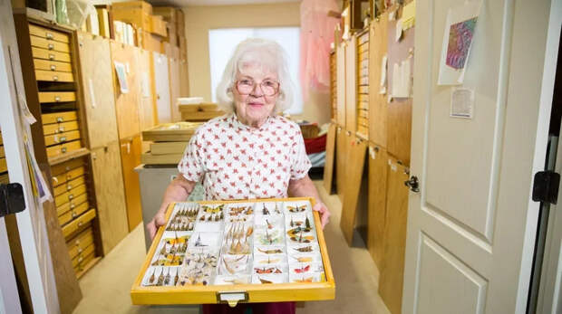 От живого «гвоздя» в пятке до пожилой личинки: 10 невероятных рекордов мира насекомых