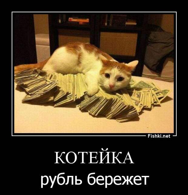 Демотиваторы демотиваторы, прикол, смех, юмор