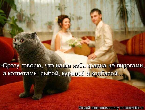 Мысли вслух :)