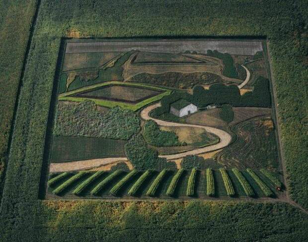 Фото: Потрясающие урожайные картины (Фото)