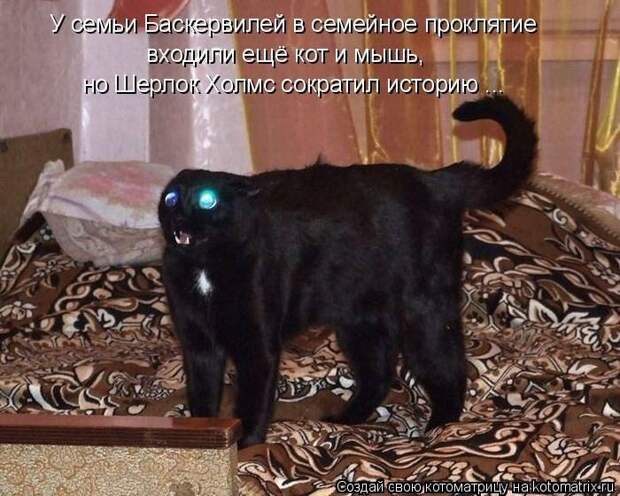 Лучшие котоматрицы недели