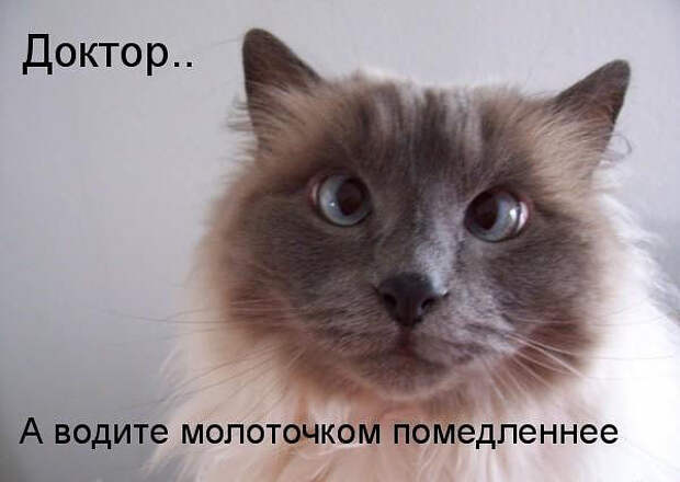 image (600x426, 108Kb)