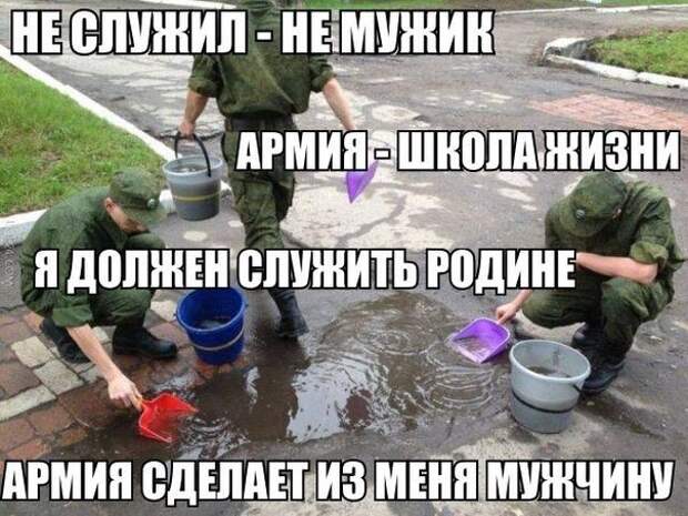 Смешные картинки с подписями катинки, прикол, юмор