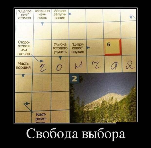Демотиваторы (30 фото) Демотиваторы (30 фото)