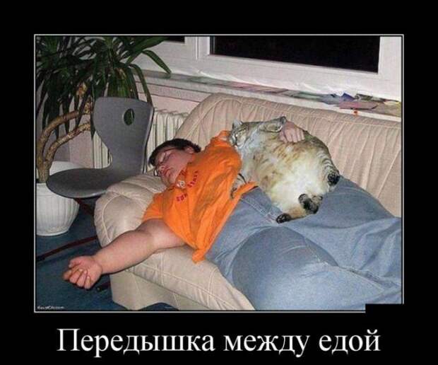 То ли смех, то ли слёзы - 211 (Смех в картинках... 22.12.2017)