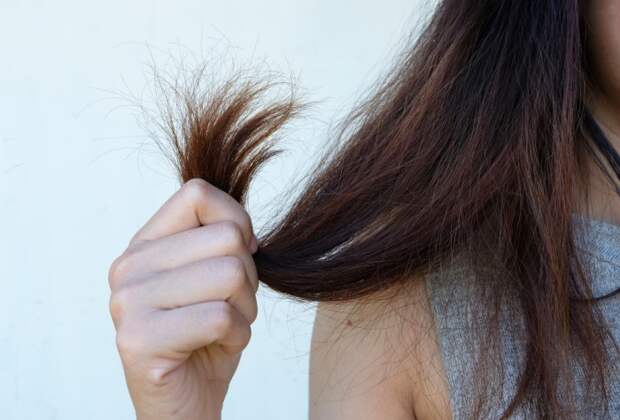 Тонкие волосы быстро пачкаются, плохо укладываются, путаются и практически лишены объема Тонкие волосы быстро пачкаются, плохо укладываются, путаются и практически лишены объема