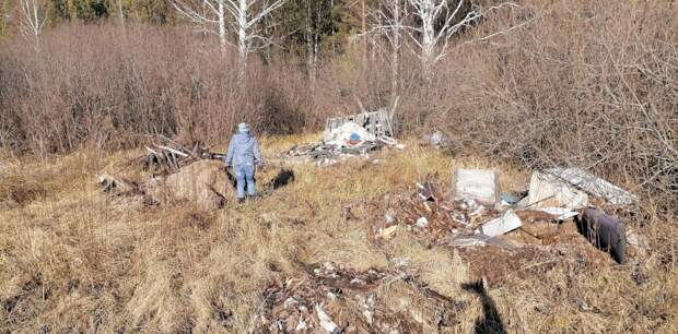 25 машин мусора: в Бобровском лесничестве убрали несанкционированную свалку