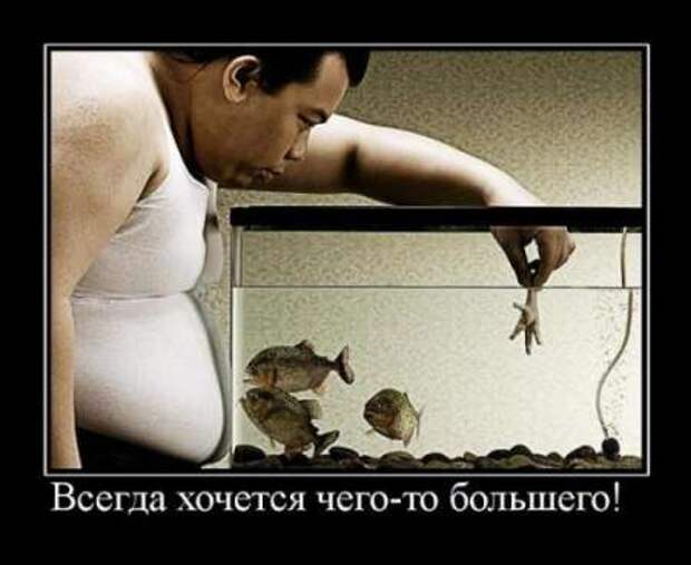 Демотиваторы по русски со смыслом.
