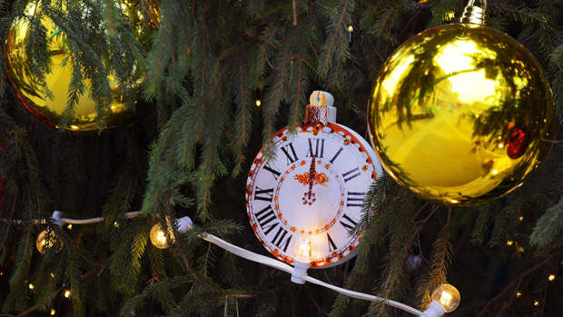 МЧС: установка новогодней елки в подъезде не всегда является нарушением