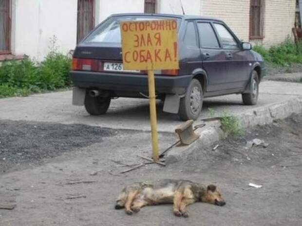 забавные вывески и предупреждения на заборах 