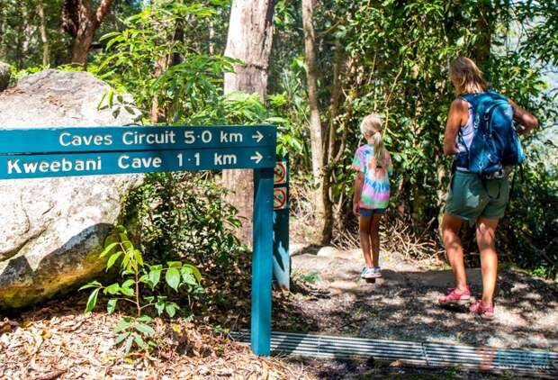 Exploring the Binna Burra Mountains in Lamington National Park, Gold Coast Hinterland, Australia