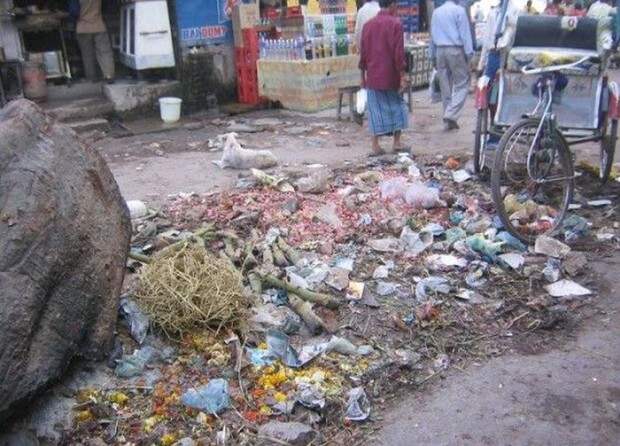 real_india_08