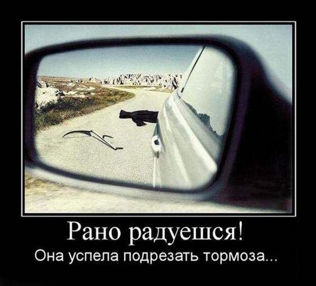 Демотиваторы (133 картинки)