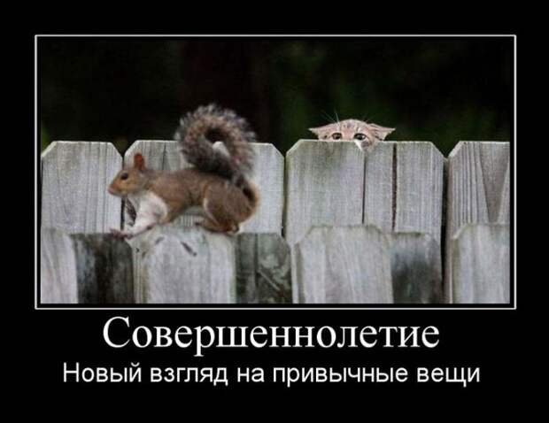 Совершеннолетие. Новый взгляд на привычные вещи демотиватор, юмор