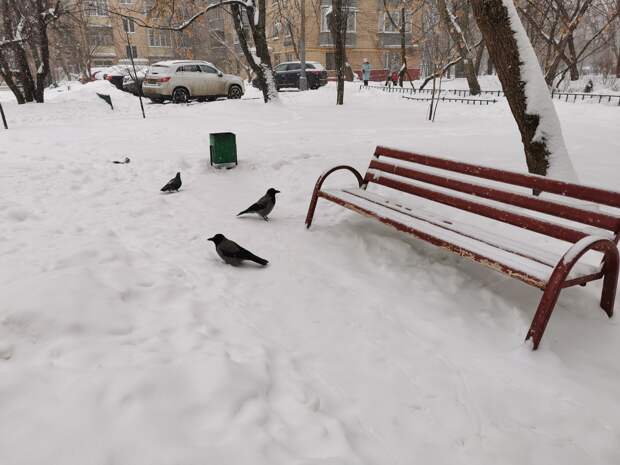 На Бестужевых двор очистили от мусора