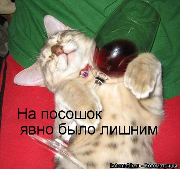 Котоматрица: 