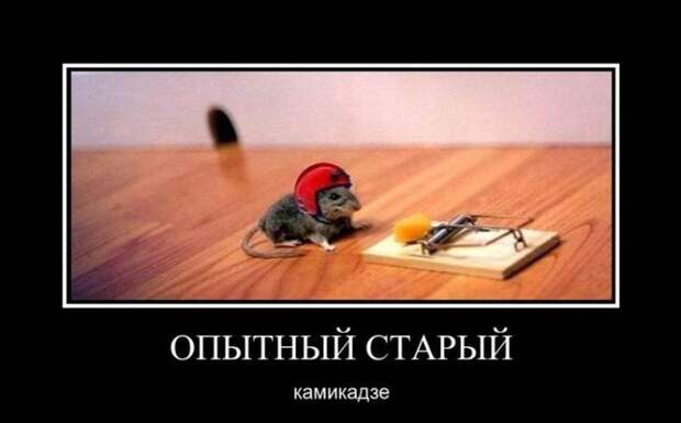 Демотиваторы (30 фото)