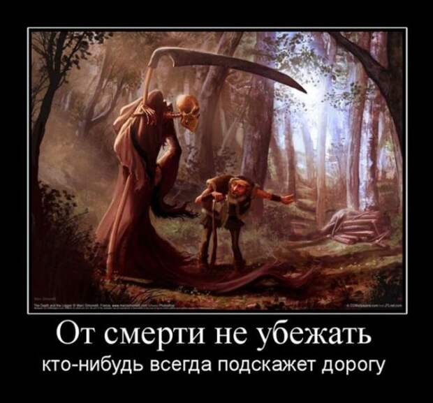 Демотиваторы (30 фото)