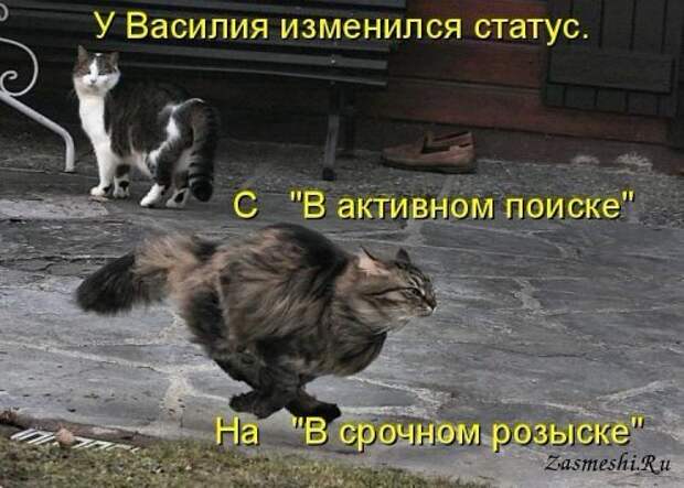 5680197_1009Statusizmenilsya (500x358, 49Kb)