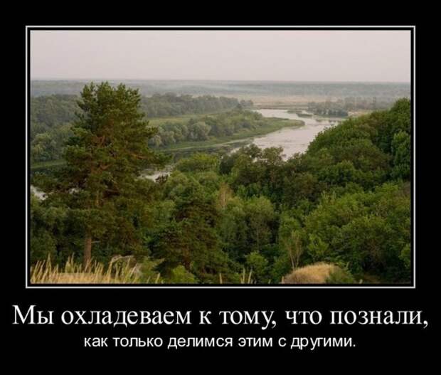 12 демотиваторов дня от 6 августа
