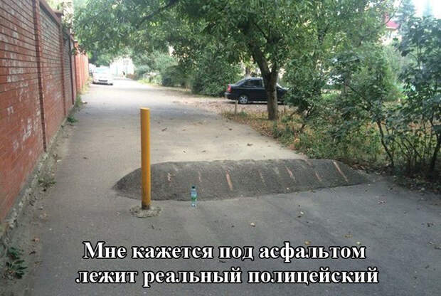 Прикольные картинки. Вечерний выпуск (60 фото)