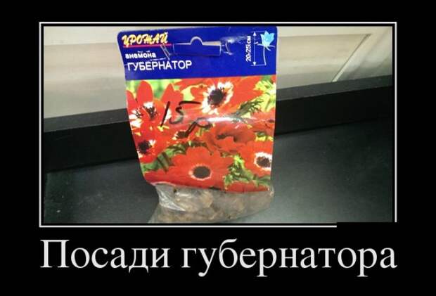 Демотиваторы (30 фото) Демотиваторы (30 фото)