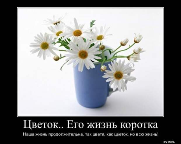 Красивые демотиваторы и серьезные фразы и цитаты со смыслом.