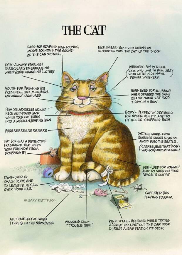 Коты-котики,теплые животики... Художник Гэри Паттерсон (Gary Patterson) (114 картинок)