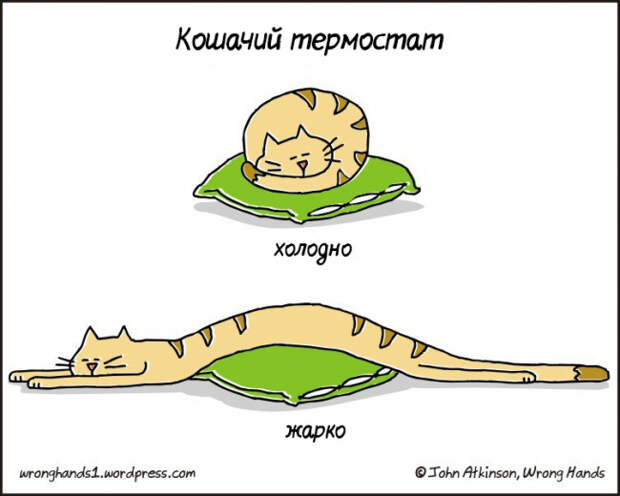 комиксы Джона Аткинсона 