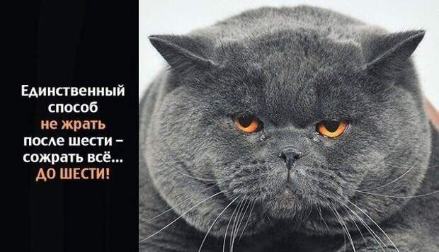 Мудрейшие цитаты