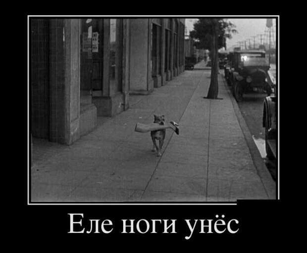 Демотиваторы