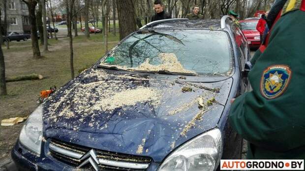 В Бресте кирпичная стена упала на припаркованные автомобили Брест, авто, беларусь, ветер, ураган