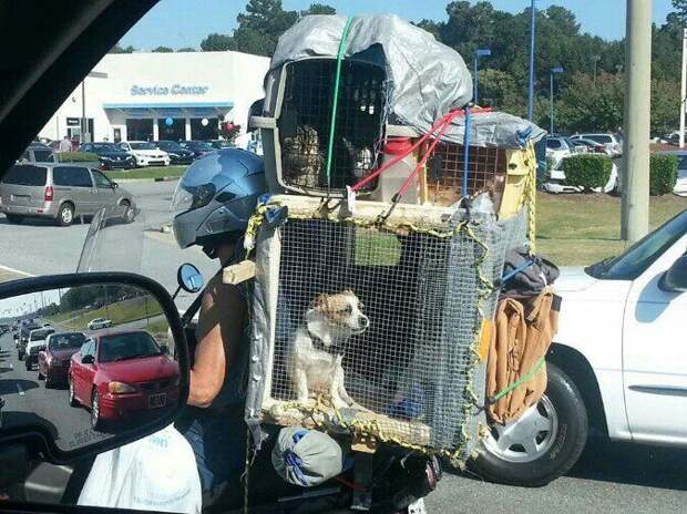 Подборка автоприколов. Часть 67 авто, автоприколы, приколы