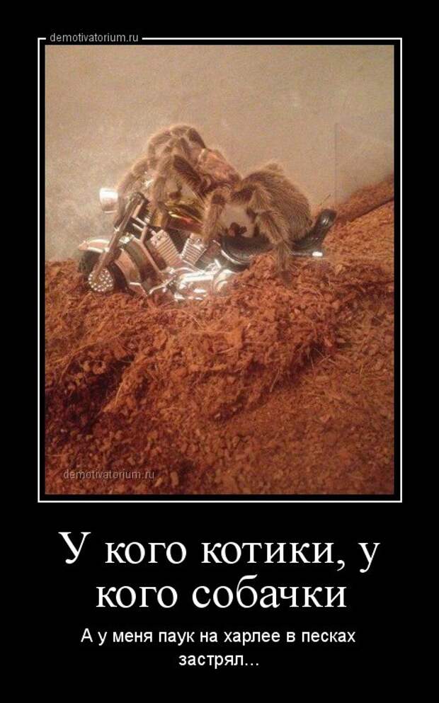 Новый сборник демотиваторов (28 шт)