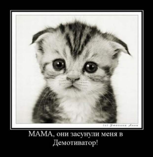 Демотиваторы без мата.
