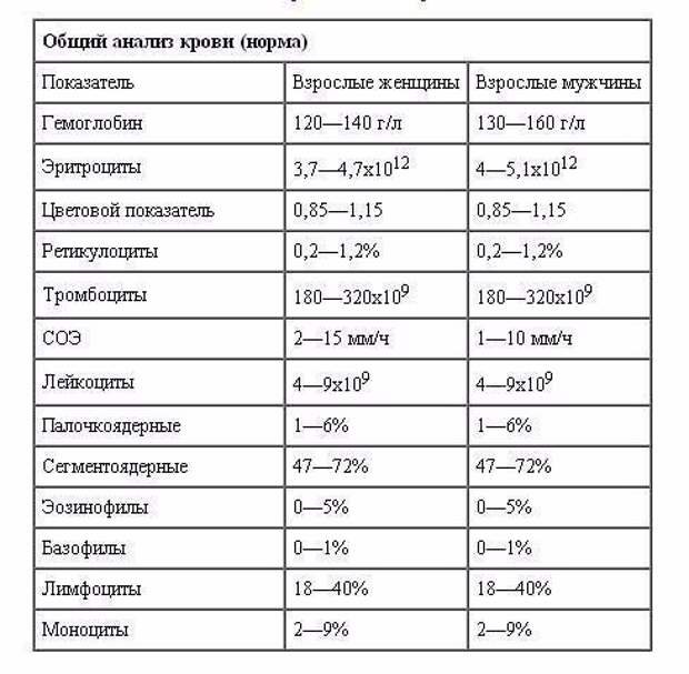 Доступно об общем анализе крови: учимся понимать свои анализы Доступно об общем анализе крови: учимся понимать свои анализы