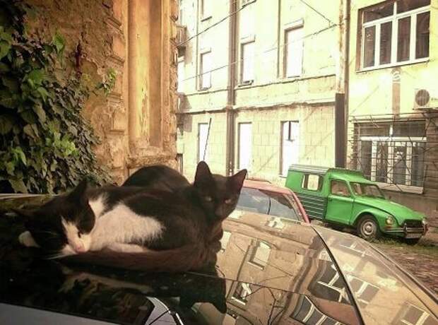Очарование старого города. Очарование старого города.