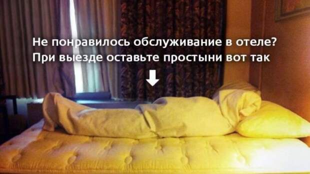Новые приколы в картинках