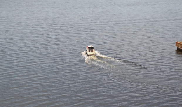 В Ладожском озере обнаружили рижский бальзам