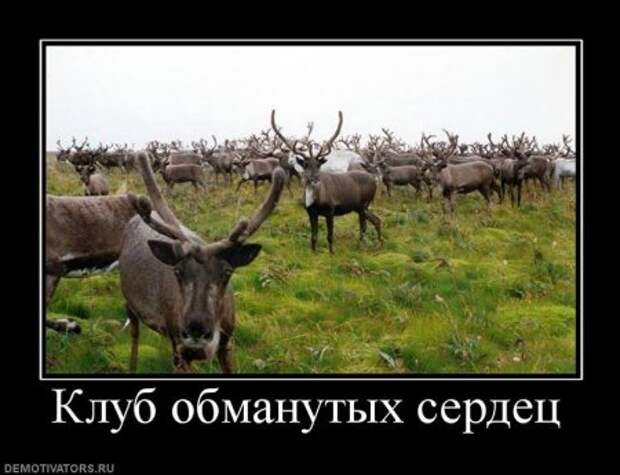 Демотиваторы смешные и новые с приколом и забавным смыслом.