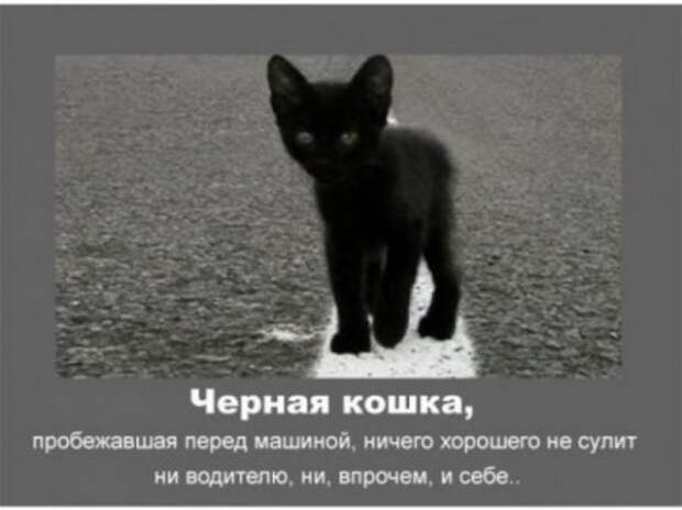 Автомобильные приметы.