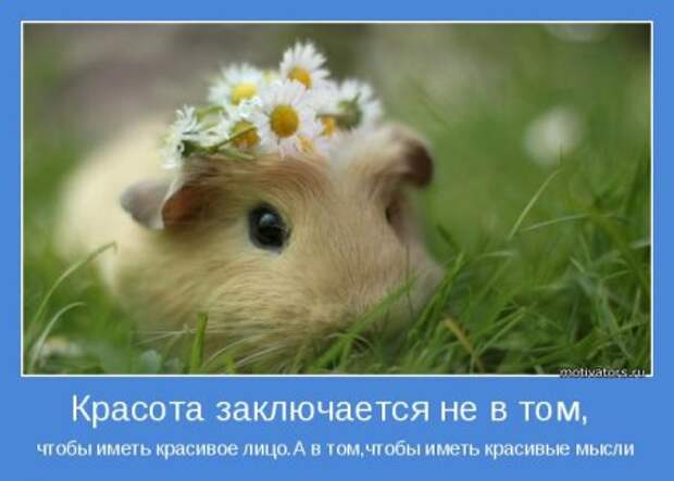 Мотивируемся и не тоскуем по ошибкам.