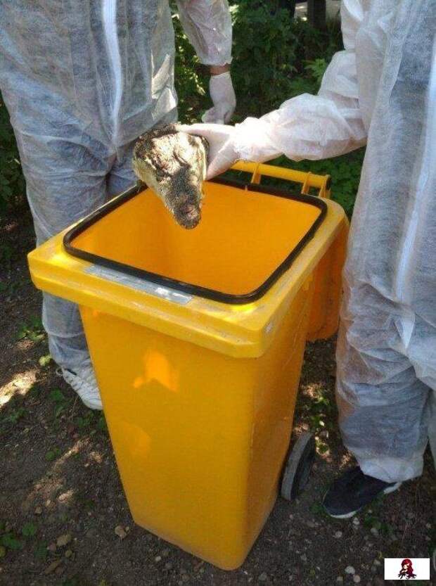 www.vsyako.net