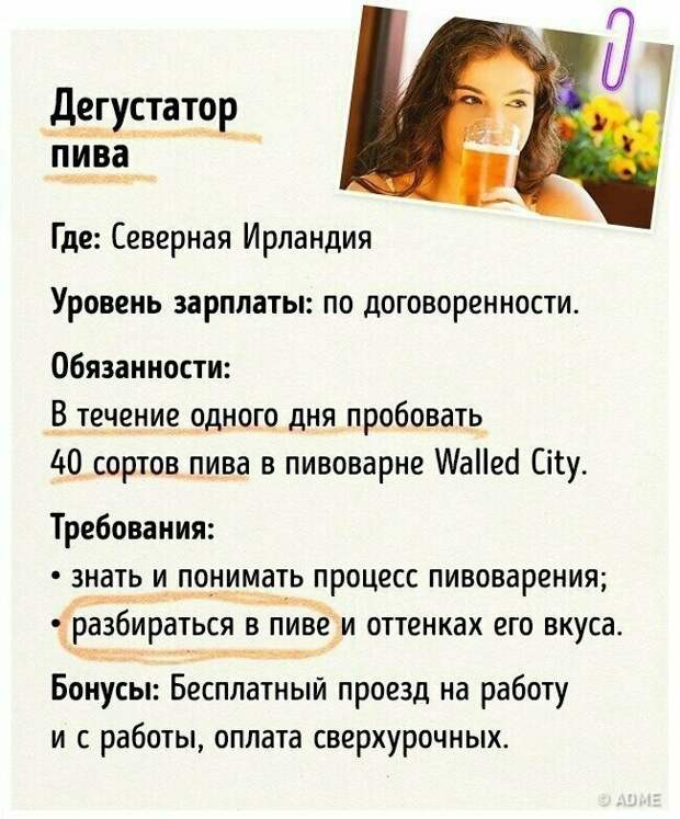 Идеальная работа существует, просто ее нужно найти идеальная работа, подборка, прикол, работа, работа мечты, трудоустройство