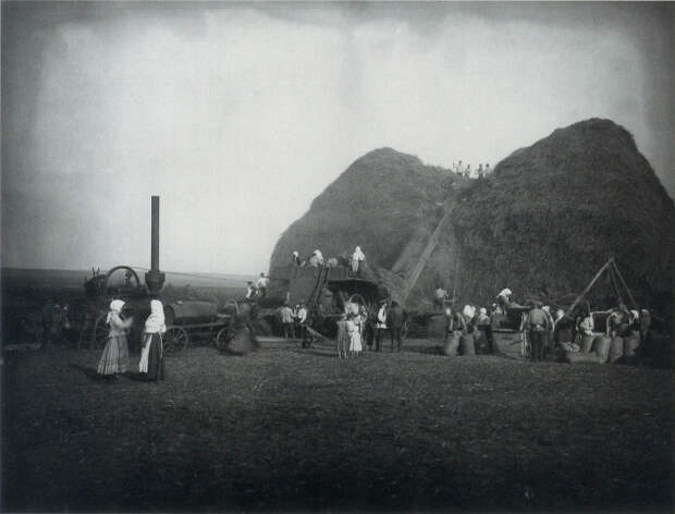 Молотьба в поле имения князя Ю. Кенига. 1910-е. 