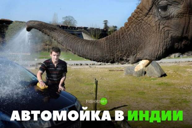 Подборка автомобильных приколов авто, автомобильный, автоприкол, автоприколы, одборка, прикол, приколы, юмор