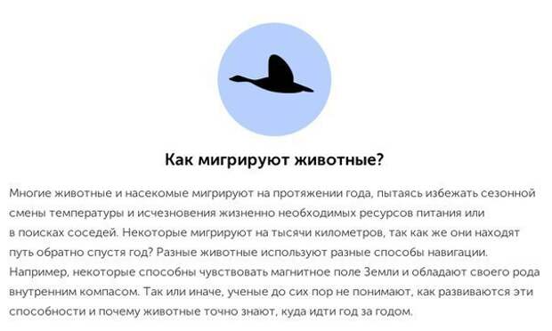 10-interesnyx-faktov-kotorye-uchenye-do-six-por-ne-mogut-obyasnit8