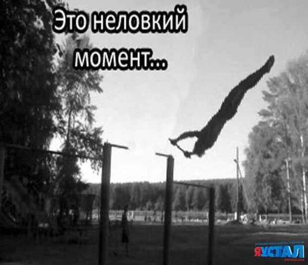 Забавные фотомемы